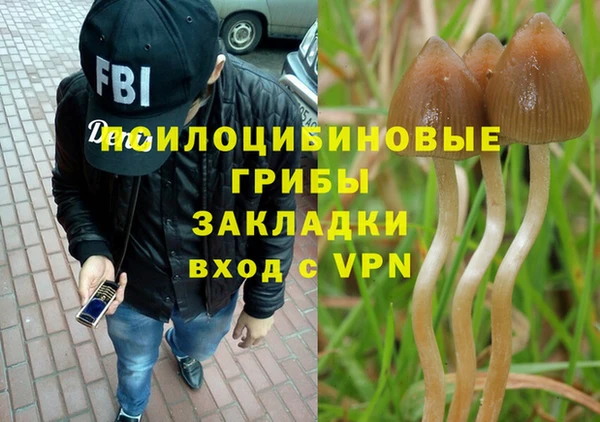гидропоника Беломорск